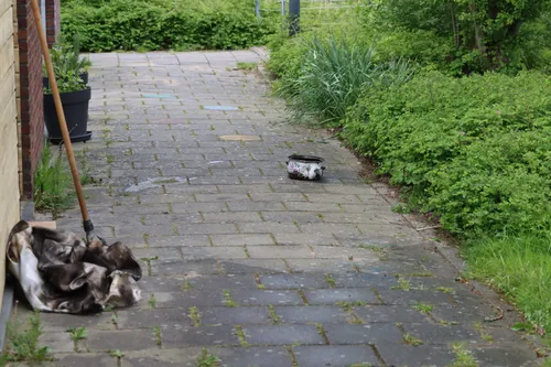 img 20240430 wa0056 copy 1536x1023