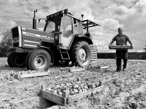 jacco tuijn verrassend heemskerk 06 kopieren