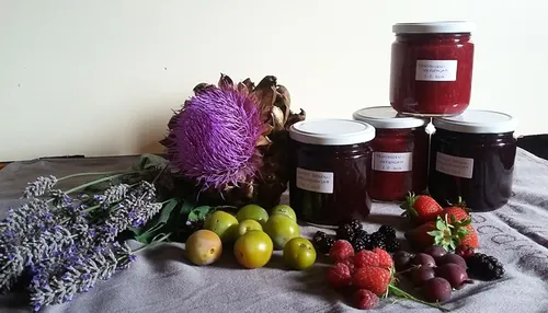 jam op oogstmarkt marjan meijer banner1