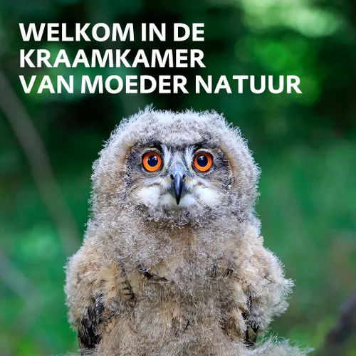 moeder natuur oehoe