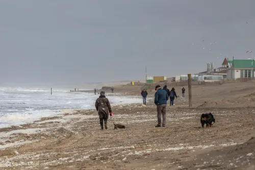 noordwijk strand