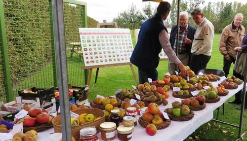 oogstmarkt 201426 bnner1