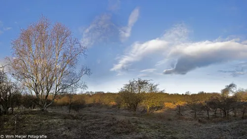 panorama duinen castricunm 030219