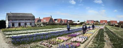 panorama hortus bulborum 2 small