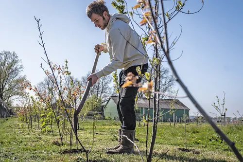 pluktuin van geesje 43