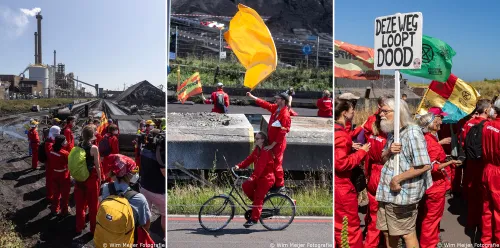 tata greenpeace col 1