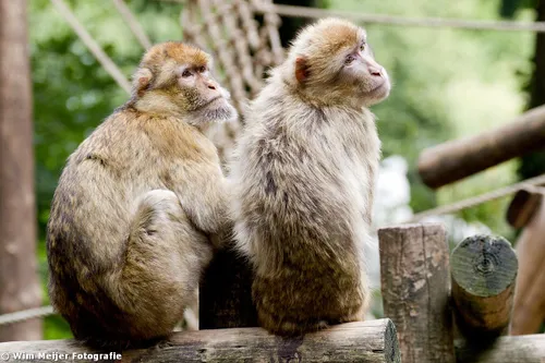 tumblr mw1nwpepga1svvyvco4 1280