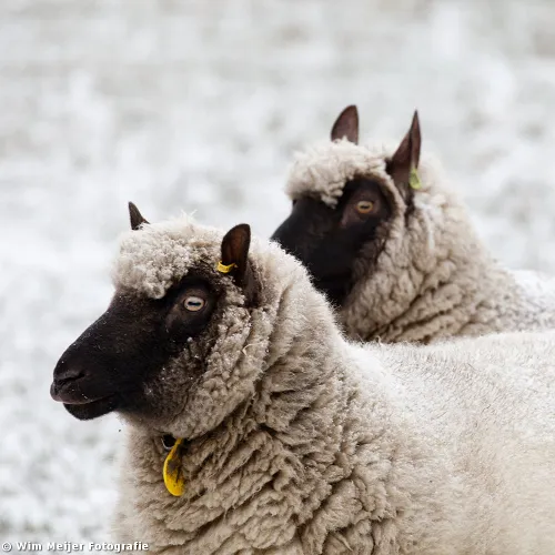 tumblr mw1nwpepga1svvyvco8 1280