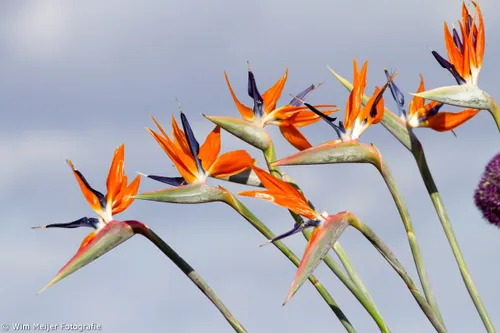 tumblr n51vlnznhd1svvyvco1 1280