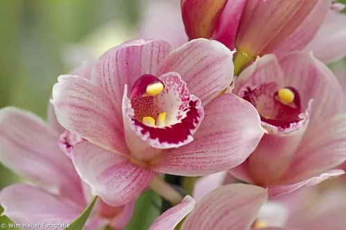 tumblr nm55esmlrb1svvyvco1 1280