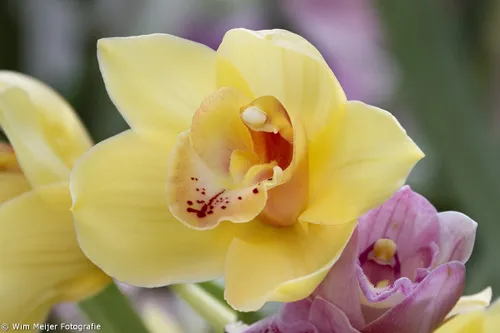 tumblr nm55esmlrb1svvyvco2 1280