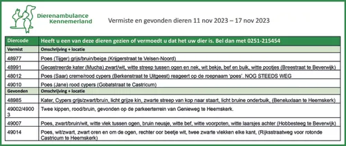 vermiste en gevonden dieren 11 nov 2023 e28093 17 nov 2023 scaled