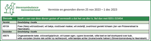 vermiste en gevonden dieren 25 nov 2023 e28093 1 dec 2023 scaled