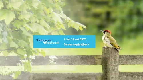 vogelweek 2017