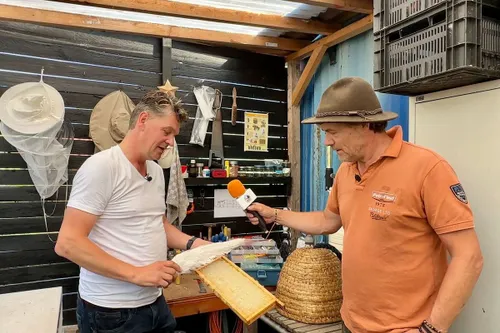 whatsapp image 2023 06 17 at 123338