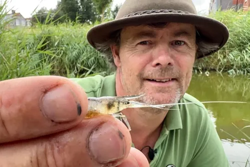 whatsapp image 2023 07 01 at 100346