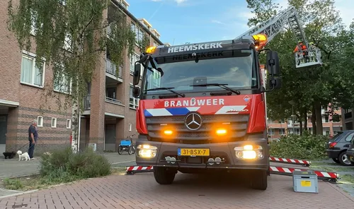 whatsapp image 2023 07 07 at 092628