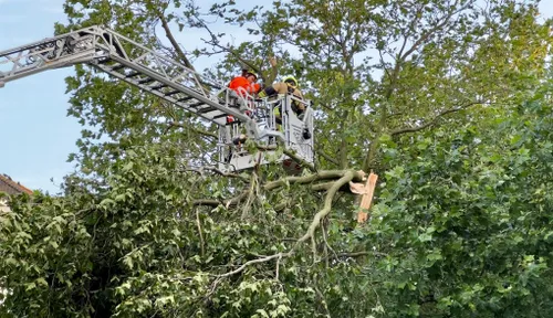 whatsapp image 2023 07 07 at 092629