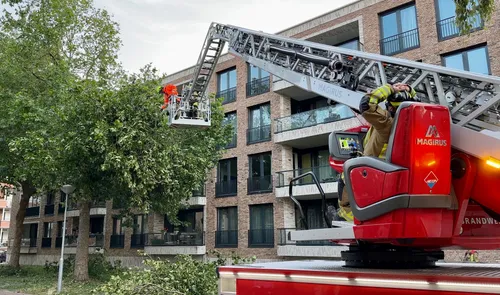 whatsapp image 2023 07 07 at 092631 1