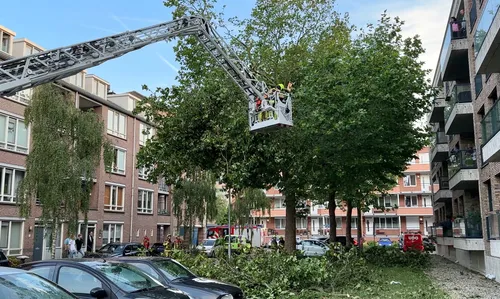 whatsapp image 2023 07 07 at 092632