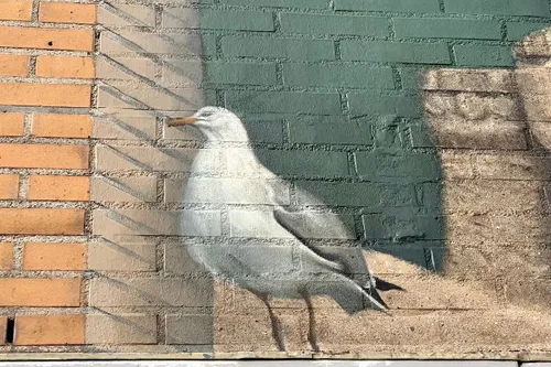 whatsapp image 2023 07 24 at 101346 kopieren