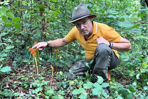 whatsapp image 2023 09 02 at 090712 1