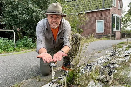 whatsapp image 2023 10 07 at 134047