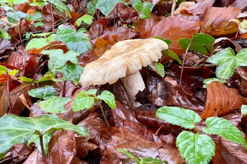 whatsapp image 2023 10 29 at 113803 2