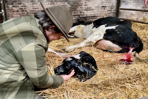 whatsapp image 2023 11 04 at 171807