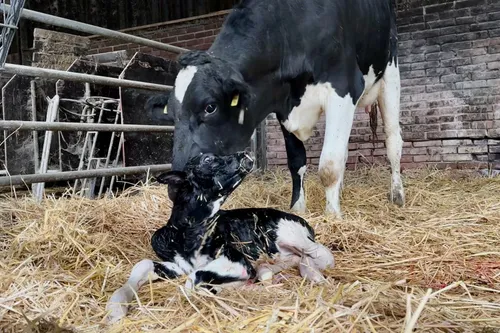 whatsapp image 2023 11 04 at 171810