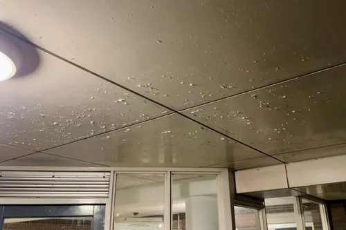 whatsapp image 2023 11 09 at 171206 kopieren