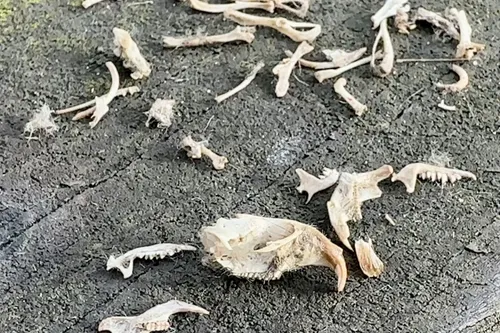 whatsapp image 2023 11 25 at 103504