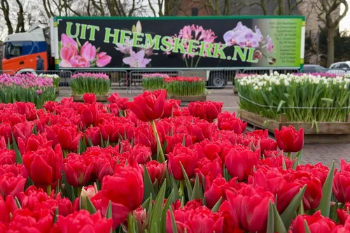 whatsapp image 2024 01 20 at 155045