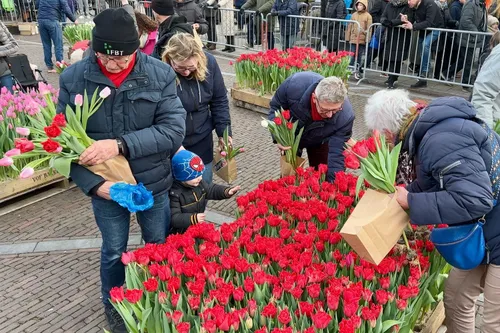 whatsapp image 2024 01 20 at 155046 2