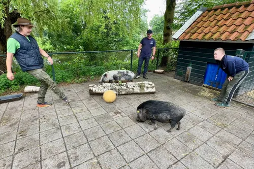 whatsapp image 2024 05 18 at 110036