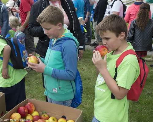 wim meijer fotografie 5i5a8608