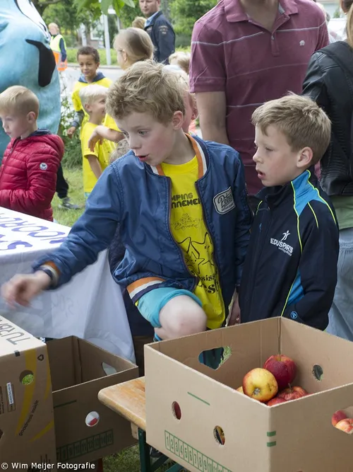 wim meijer fotografie 5i5a8646