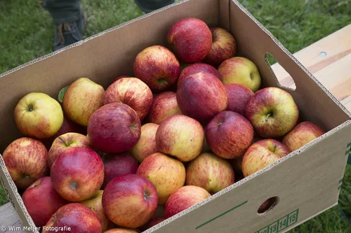 wim meijer fotografie 5i5a8650