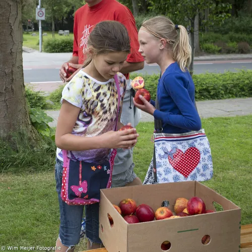 wim meijer fotografie 5i5a8662