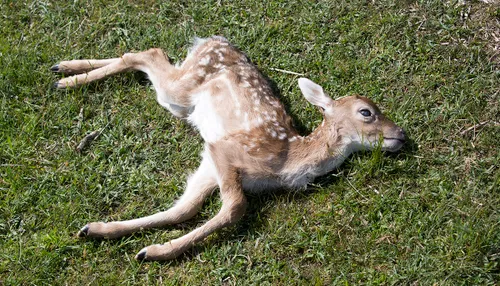 wim meijer fotografie 5i5a8798