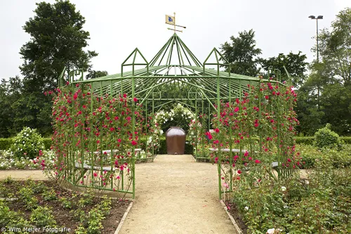 wim meijer fotografie 5i5a9036