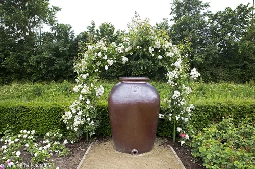 wim meijer fotografie 5i5a9040