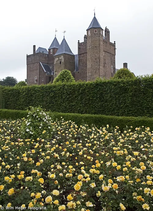 wim meijer fotografie 5i5a9043b