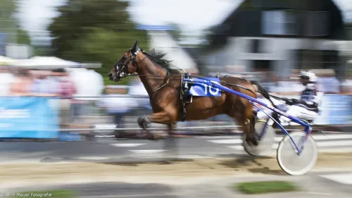 wim meijer fotografie img 1066