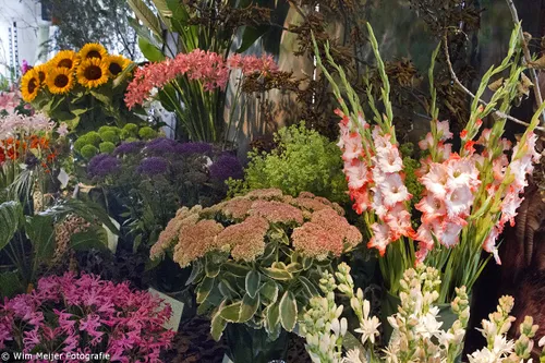 wim meijer fotografie img 1595