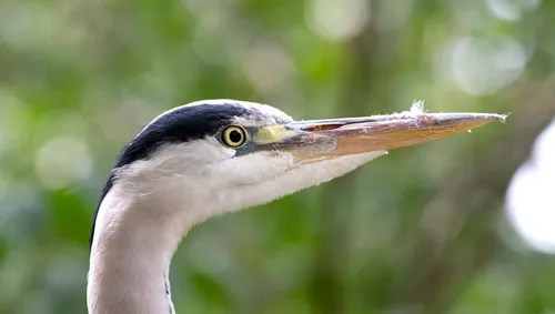 wim meijer fotografie img 3907 915x518 1