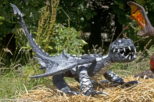 wim meijer fotografie img 7992