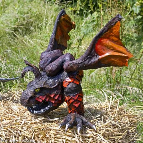 wim meijer fotografie img 7995