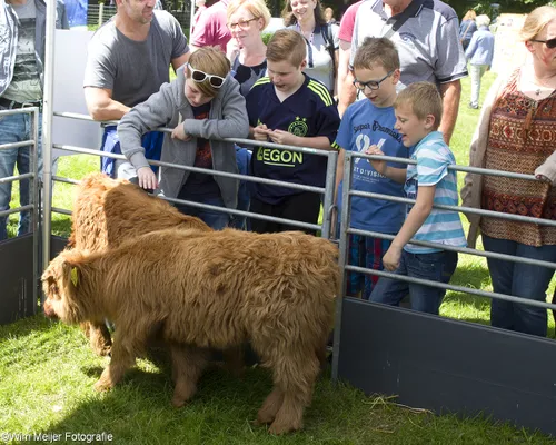 wim meijer fotografie img 8048
