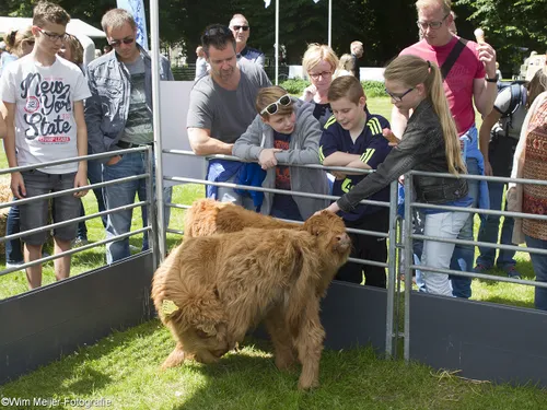 wim meijer fotografie img 8051